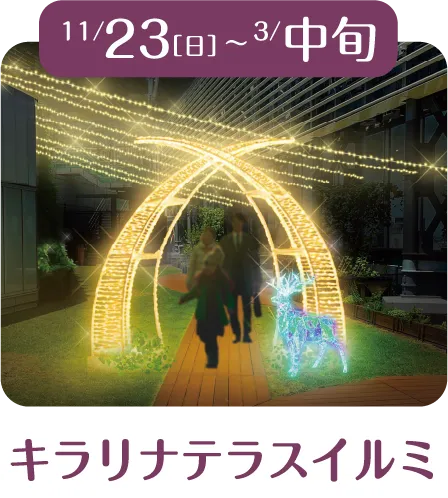 11/23[土]～3月中旬 キラリナテラスイルミ