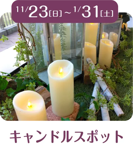 11/23[日]～1/31[土] キャンドルスポット