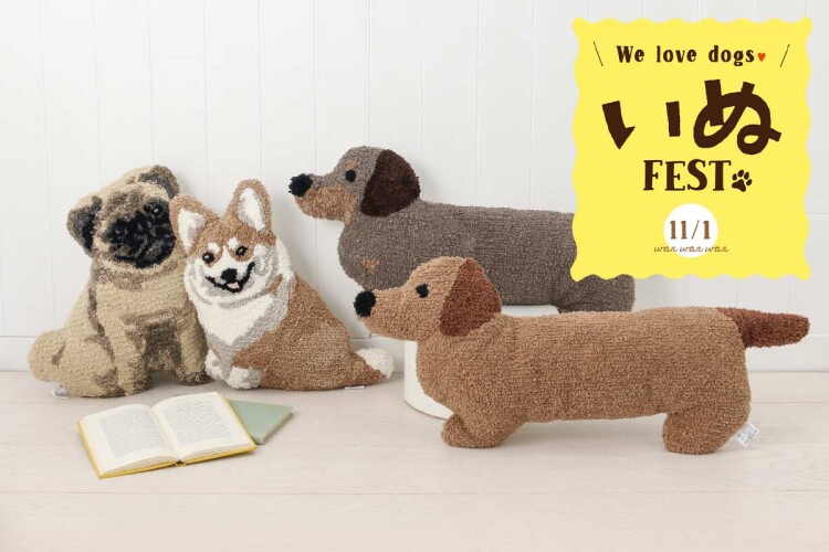 🐩11/1は「ワン（1）ワン（1）ワン（1）」の犬の日🐩