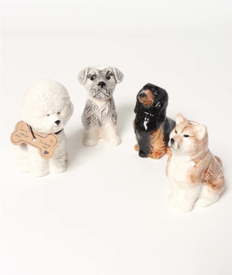 11/1は「ワン（1）ワン（1）ワン（1）」の犬の日🐶　 ドッグベース 入荷しております！