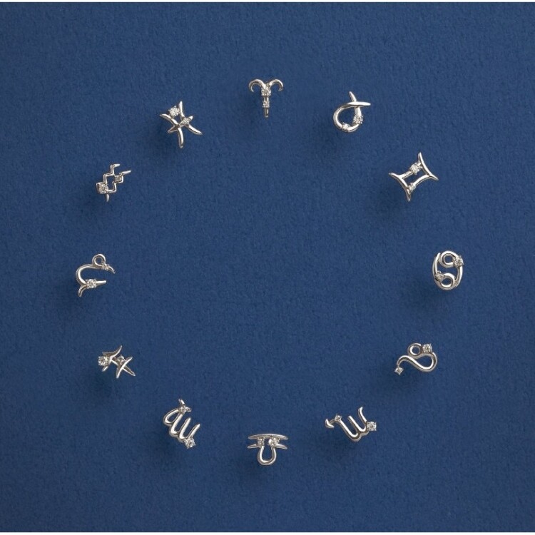 NEW【 幸運を引き寄せる星座ピアス 】