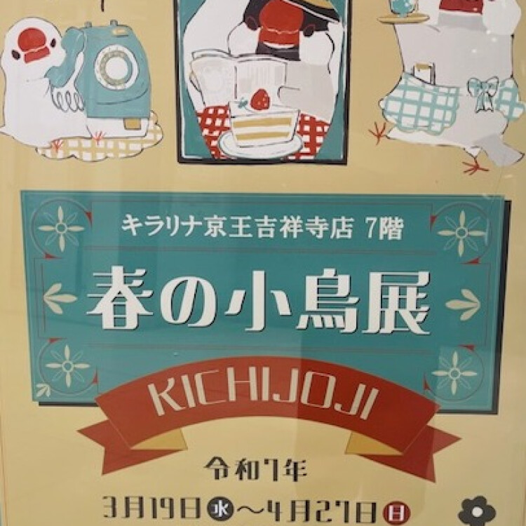 【春の小鳥展🐥】