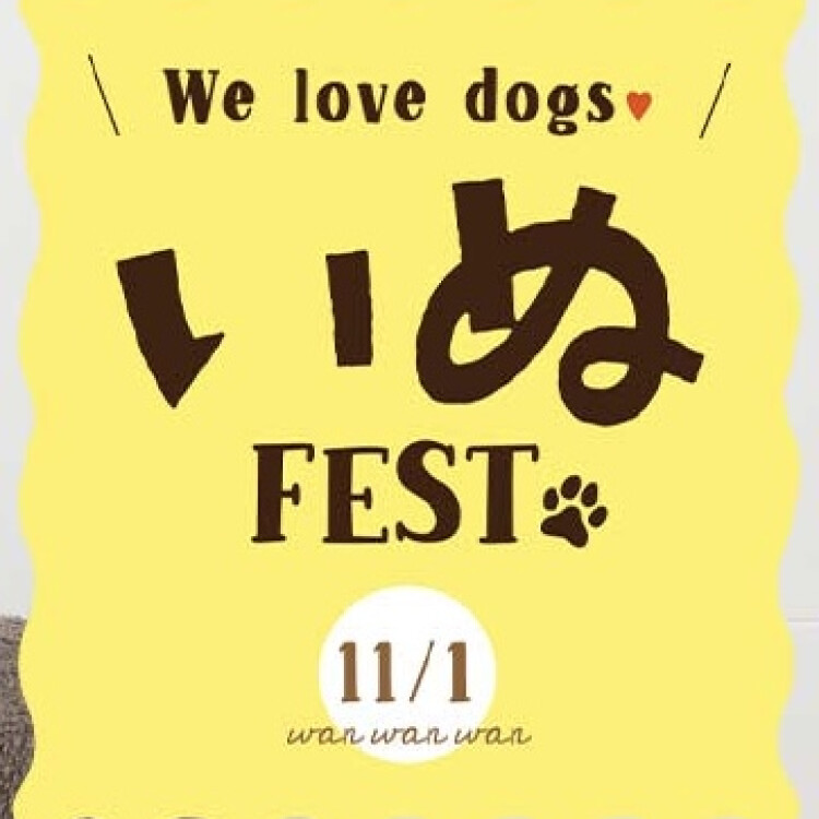 🐶11/1は「ワン（1）ワン（1）ワン（1）」の犬の日🐶