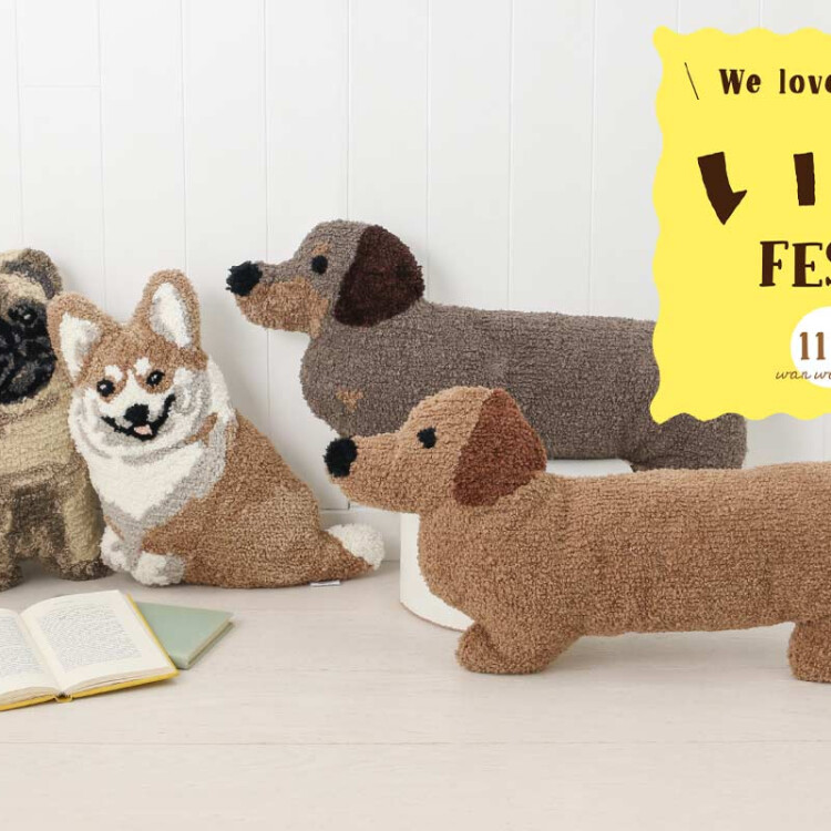 🐩11/1は「ワン（1）ワン（1）ワン（1）」の犬の日🐩