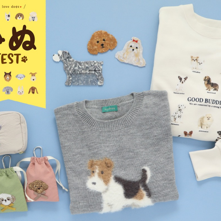 ワン（1）ワン（1）ワン（1）の 11月1日は🐩犬の日🐶