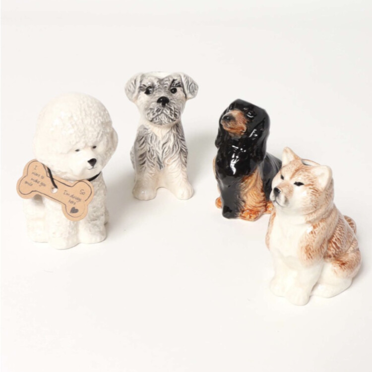 11/1は「ワン（1）ワン（1）ワン（1）」の犬の日🐶　 ドッグベース 入荷しております！
