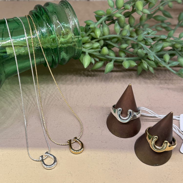 ホースシューアクセサリー🐎✨
