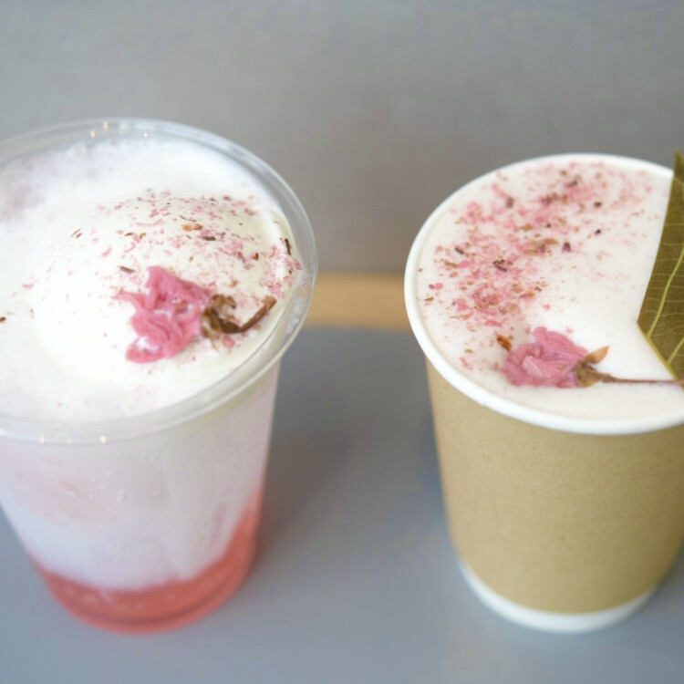 🌸春限定さくらドリンク🌸