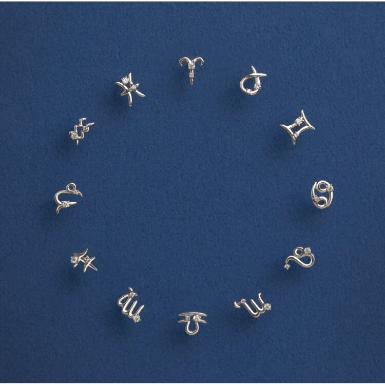 NEW【 幸運を引き寄せる星座ピアス 】